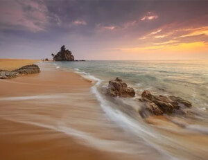 阿尔及利亚中场出色发挥,成为关键先生