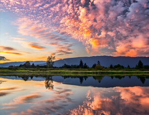 欧预赛夺冠球员分享庆祝瞬间,感谢支持