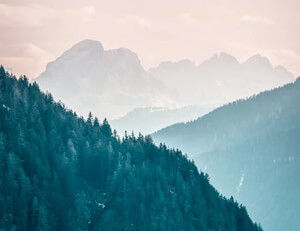 德国选手艰难晋级,保住战胜希望